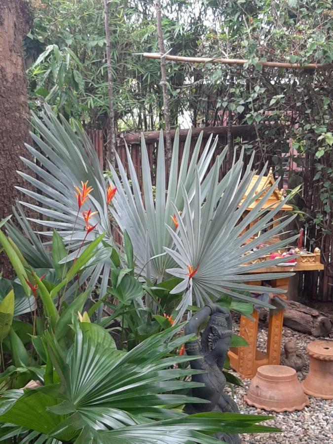Liam'S Guesthouse Adults Only Chiang Mai Eksteriør bilde